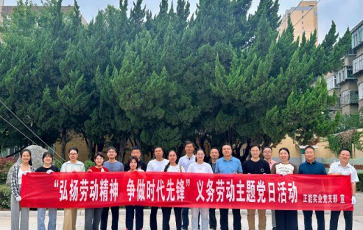 弘扬劳动精神  争做时代先锋 —— ——taptap党支部 开展义务劳动主题党日活动