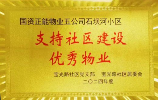 荣耀映辉煌 赞誉显担当 —— taptap品质服务再获认可