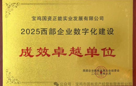 喜报 —— taptap荣获“2025西部企业数字化建设成效卓越单位”称号